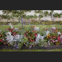 IMG_9031_Schloss_Dachau_Garten_Blumenbeet.jpg