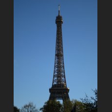 IMG_1117.jpg