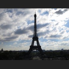 IMG_1180.jpg