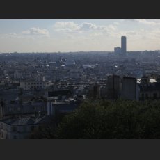 IMG_1303.jpg