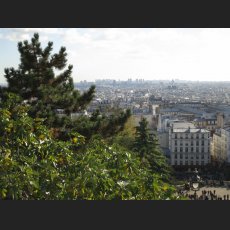 IMG_1304.jpg