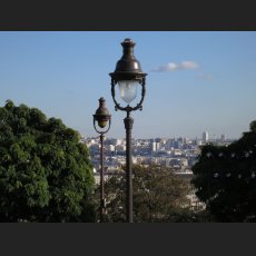 IMG_1310.jpg