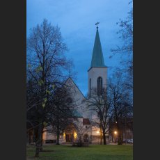 IMG_1050.jpg