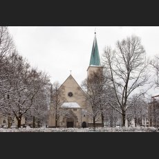 IMG_3338.jpg