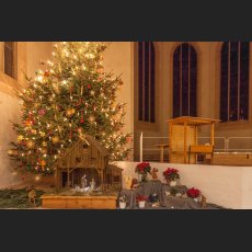 IMG_8190.jpg